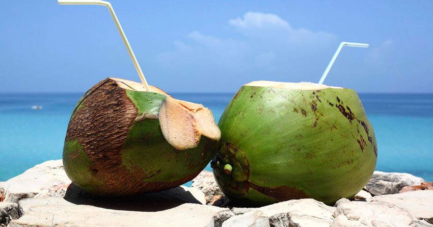 Ci sono controindicazioni al consumo di noci di cocco?