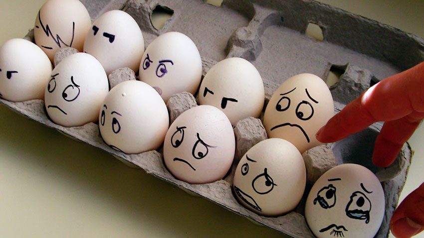 Come scegliere le uova giuste